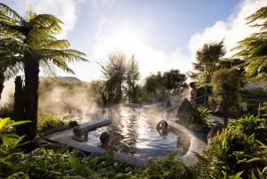 Desde Rotorua - Tour de medio día - HOTPOOLS DEL VALLE WAIKITE