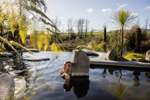 Desde Rotorua - Tour de medio día - HOTPOOLS DEL VALLE WAIKITE