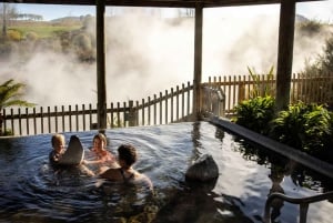 Desde Rotorua - Tour de medio día - HOTPOOLS DEL VALLE WAIKITE