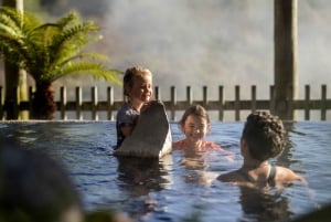 Desde Rotorua - Tour de medio día - HOTPOOLS DEL VALLE WAIKITE