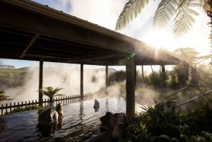 Desde Rotorua - Tour de medio día - HOTPOOLS DEL VALLE WAIKITE