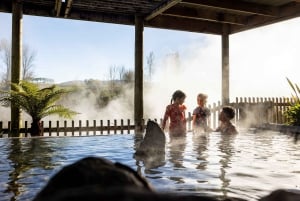 Desde Rotorua - Tour de medio día - HOTPOOLS DEL VALLE WAIKITE