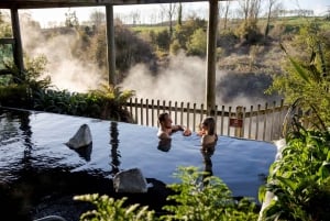 Desde Rotorua - Tour de medio día - HOTPOOLS DEL VALLE WAIKITE