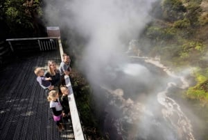 Desde Rotorua - Tour de medio día - HOTPOOLS DEL VALLE WAIKITE