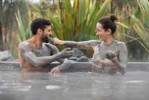 From Rotorua: HELL's GATE Geothermal MUD BATH Half Day Tour