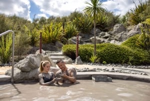 Desde Rotorua: Excursión de medio día al BAÑO DE BARRO GEOTÉRMICO DE HELL'S GATE