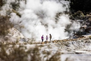 Desde Rotorua: Excursión de medio día al BAÑO DE BARRO GEOTÉRMICO DE HELL'S GATE