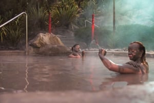 Desde Rotorua: Excursión de medio día al BAÑO DE BARRO GEOTÉRMICO DE HELL'S GATE