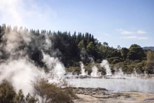 Desde Rotorua: Excursión de medio día al BAÑO DE BARRO GEOTÉRMICO DE HELL'S GATE