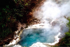 From Rotorua: Lake Taupo & Orakei Korako Geothermal Park