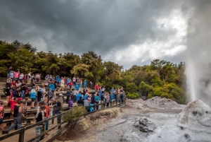 From Rotorua: Wai-O-Tapu Geothermal Valley Small Group Tour