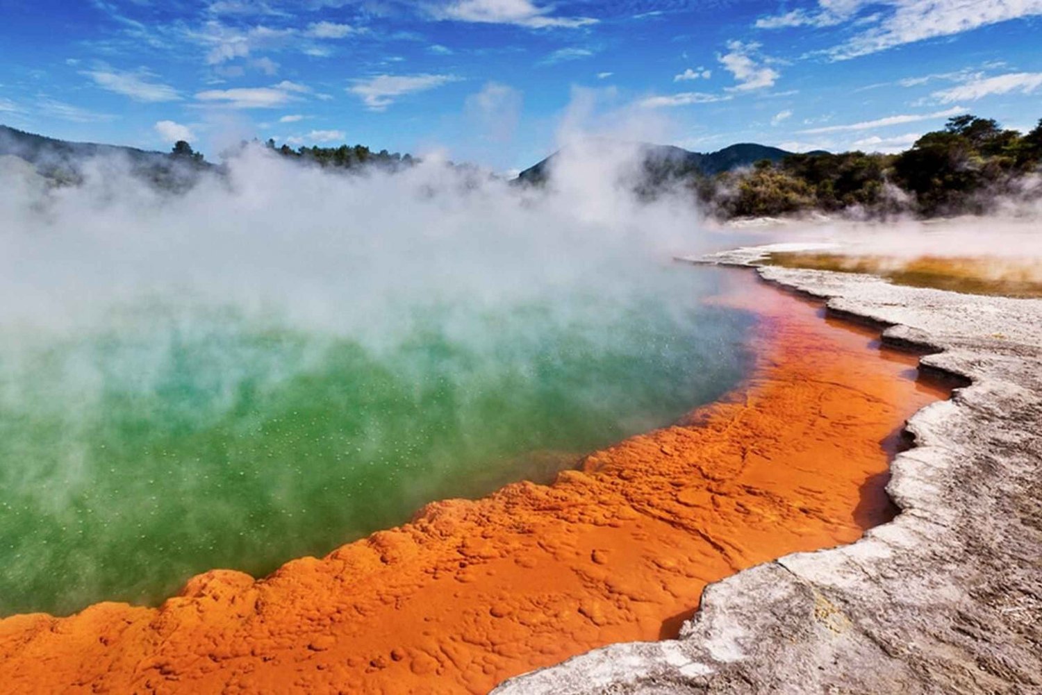 Rotoruasta: WAI-O-TAPU Geotermal Wonderland Puolipäiväinen retki