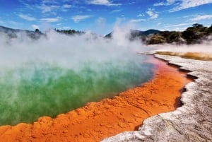 Från Rotorua: WAI-O-TAPU Geothermal Wonderland halvdagsutflykt