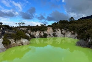 Från Rotorua: WAI-O-TAPU Geothermal Wonderland halvdagsutflykt