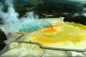 ロトルア発：ワイオタプ地熱ワンダーランド半日ツアー