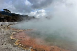 ロトルア発：ワイオタプ地熱ワンダーランド半日ツアー