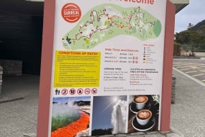Fra Auckland: TRIPLE DEAL Wai-O-Tapu, Redwood & Blue Springs