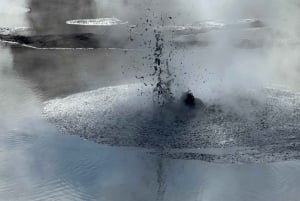 Fra Auckland: TRIPLE DEAL Wai-O-Tapu, Redwood & Blue Springs