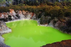 Desde Rotorua: Wai-O-Tapu, Waimangu y Te Puia Tour de día completo