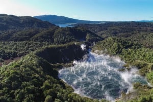 From Rotorua: Wai O Tapu & Waimangu Eco Thermal Morning Tour