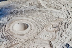 From Rotorua: Wai O Tapu & Waimangu Eco Thermal Morning Tour