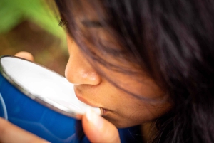 Fra Rotorua: Guidet tur i Whirinaki-regnskogen