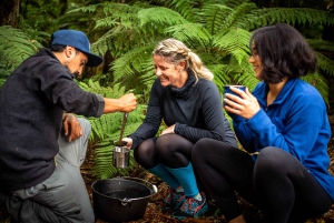 Fra Rotorua: Guidet tur i Whirinaki-regnskogen