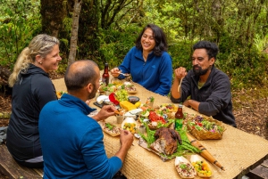 Fra Rotorua: Guidet tur i Whirinaki-regnskogen