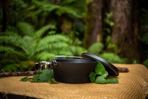 Fra Rotorua: Guidet tur i Whirinaki-regnskogen