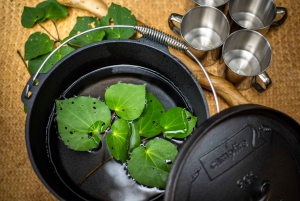 Fra Rotorua: Guidet tur i Whirinaki-regnskogen