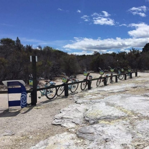 Happy Ewe Cycle Tours