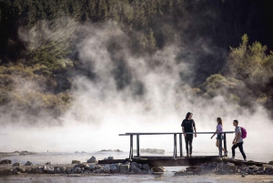 HELL'S GATE Mud Spa, Rotorua - Dagsutflykt för grupper Ex Auckland