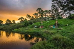 Hobbiton Movie Set & Rotorua Premium Day Tour from Auckland