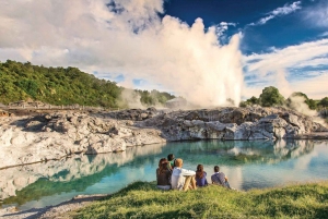 Hobbiton Movie Set & Te Puia Geothermal Valley Private Tour