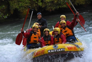 Kaituna River: 3.5-Hour Whitewater Rafting Experience
