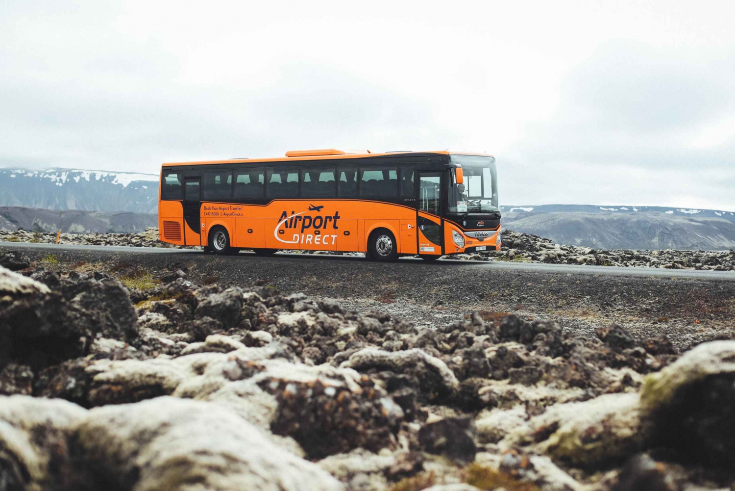 Keflavik Airport & Reykjavik Hotels: Economy Bus Transfer in Rotorua