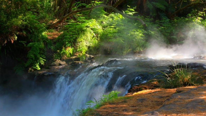 Kerosene Creek In Rotorua