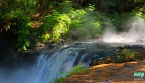 Best Free Things To Do in Rotorua