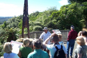 Maori Culture Eftermiddagstur i liten grupp inklusive Te Puia