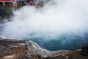 Maori Culture Small Group Afternoon Tour including Te Puia