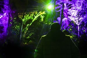 Mārama: Geyser Light Trail