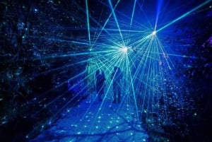 Mārama: Geyser Light Trail