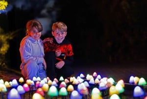 Mārama: Geyser Light Trail