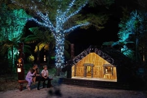 Mārama: Geyser Light Trail