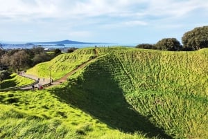 Neuseeland: 9-tägige private Tour mit 14–16 Aktivitäten