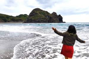 Neuseeland: 9-tägige private Tour mit 14–16 Aktivitäten
