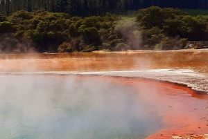 Nuova Zelanda: Tour guidato di 26 giorni dell'Isola del Nord con campeggio