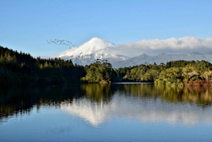 Nuova Zelanda: Tour guidato di 26 giorni dell'Isola del Nord con campeggio