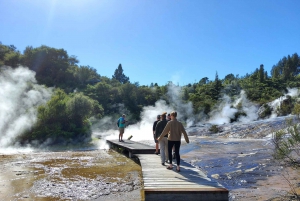 Nuova Zelanda: Tour guidato di 26 giorni dell'Isola del Nord con campeggio