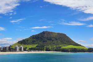 Nuova Zelanda: Tour guidato di 26 giorni dell'Isola del Nord con campeggio